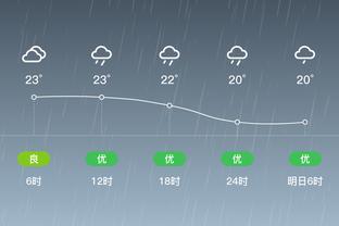 雷竞技pc打开截图0